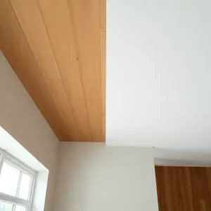 Jaki strop najlepszy